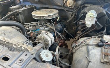 Ford-F-100-1981-Standard-Cab-Pickup-10