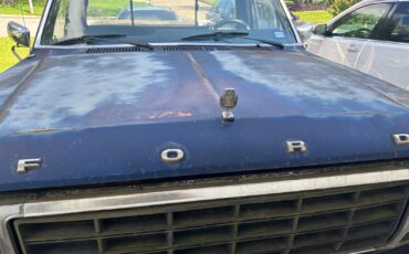 Ford-F-100-1981-Standard-Cab-Pickup