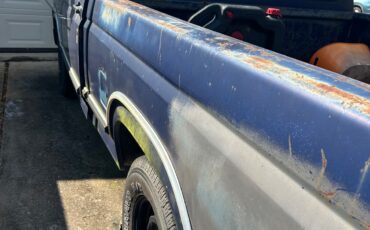 Ford-F-100-1981-Standard-Cab-Pickup-6