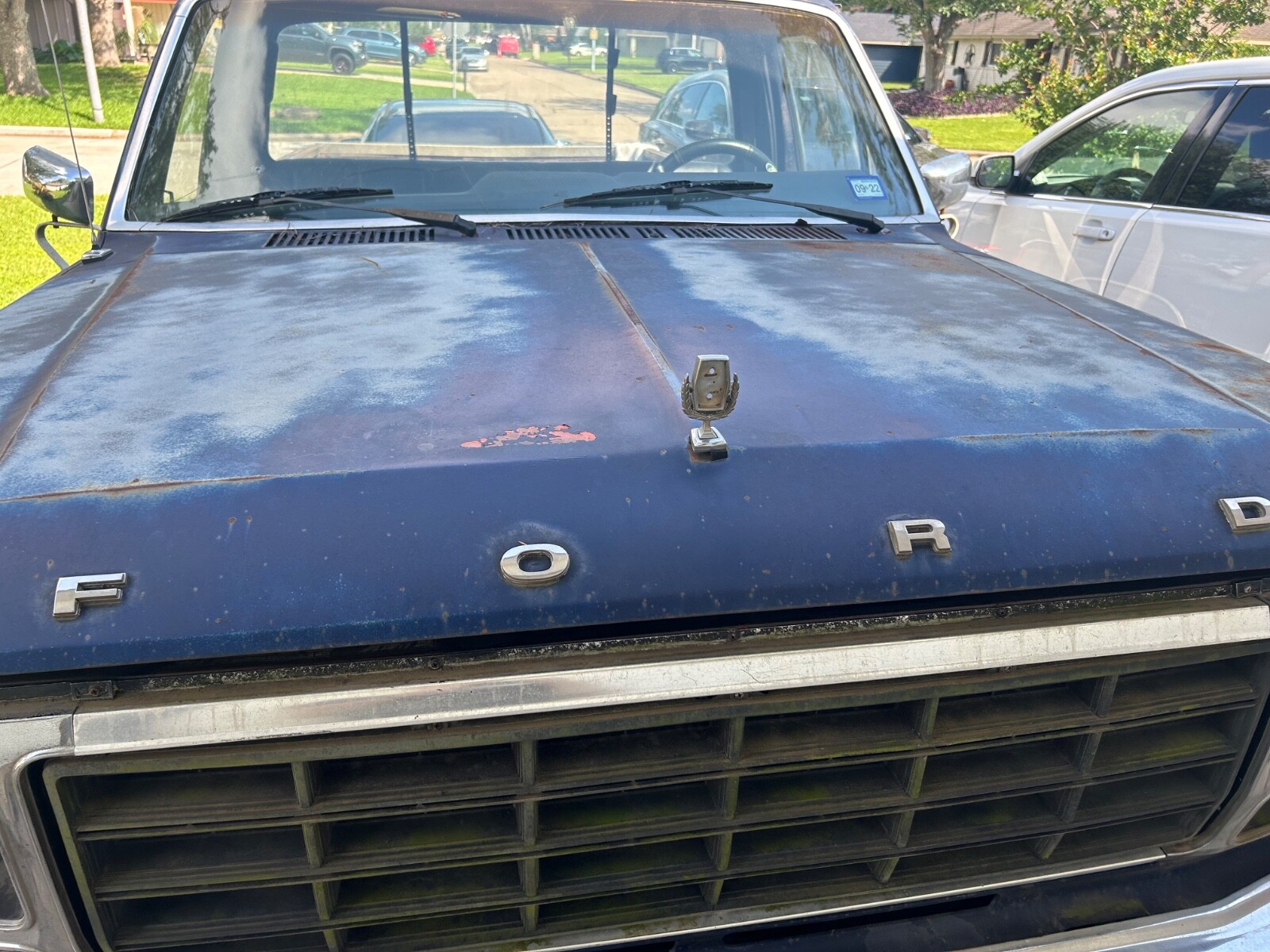 Ford F-100 1981 Standard Cab Pickup