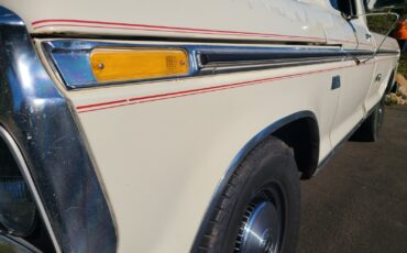 Ford-F-150-1976-Standard-Cab-Pickup-3