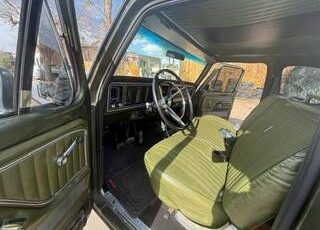 Ford-F-150-1976-black-15