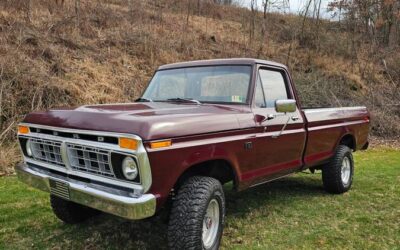 Ford F-150  1976 red
