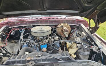 Ford-F-150-1976-red-6