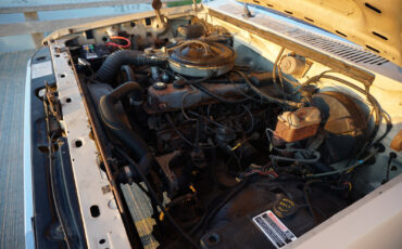 Ford-F-150-1985-Standard-Cab-Pickup-10