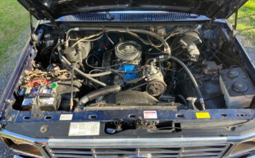 Ford-F-150-1985-Standard-Cab-Pickup-14