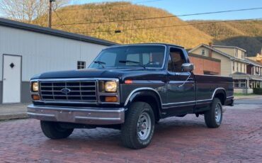 Ford-F-150-1985-Standard-Cab-Pickup-2