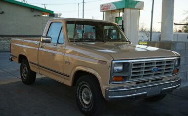Ford-F-150-1985-Standard-Cab-Pickup-2