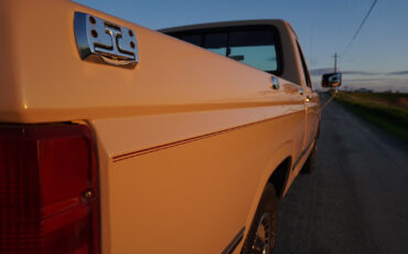 Ford-F-150-1985-Standard-Cab-Pickup-7