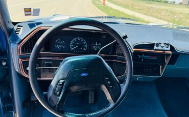 Ford-F-150-1990-blue-8