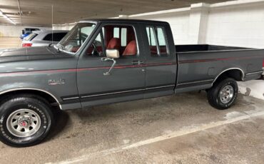 Ford-F-150-1990-grey-2