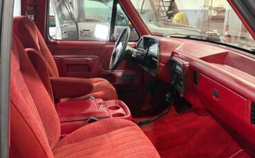 Ford-F-150-1990-grey-3