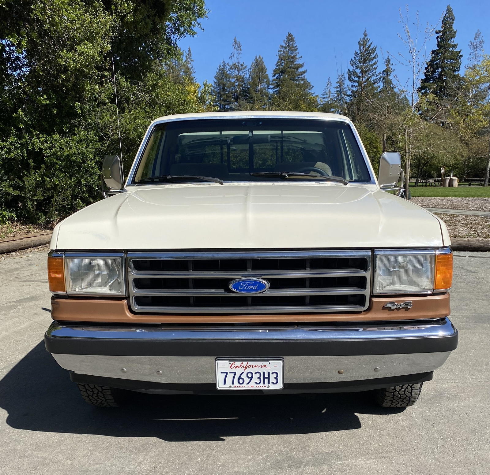 Ford-F-150-1991-Standard-Cab-Pickup-24