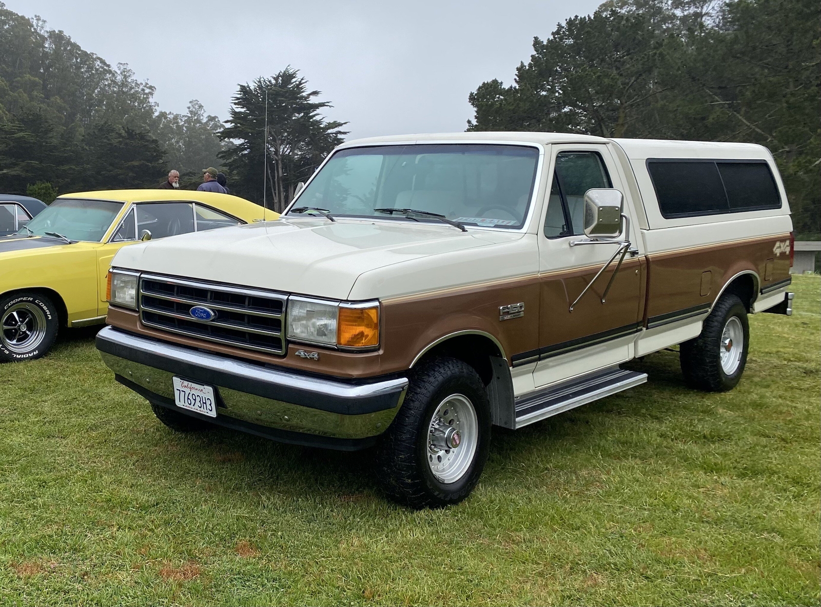 Ford-F-150-1991-Standard-Cab-Pickup-5