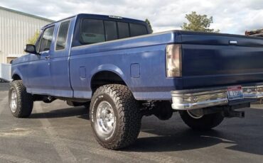 Ford-F-150-1994-blue-6