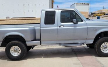 Ford-F-150-1994-silver-2