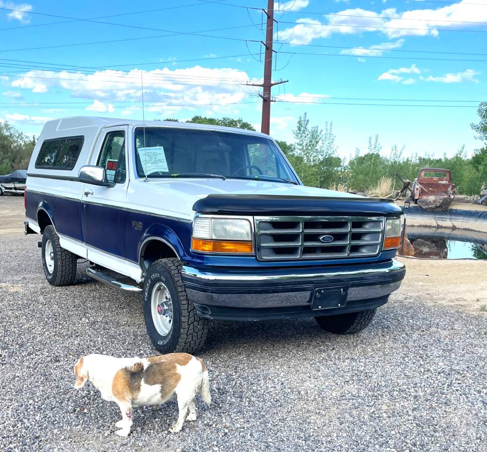 Ford F-150 xlt  1993 blue