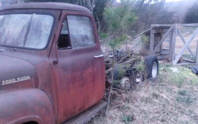 Ford F-250 1953