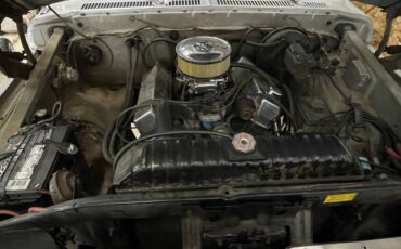 Ford-F-250-1977-silver-3