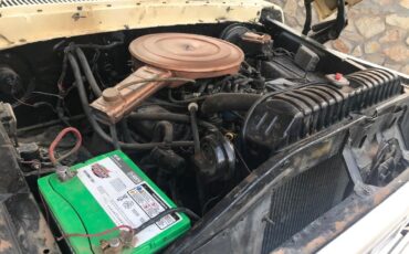 Ford-F-250-1979-11