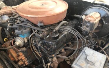 Ford-F-250-1979-12