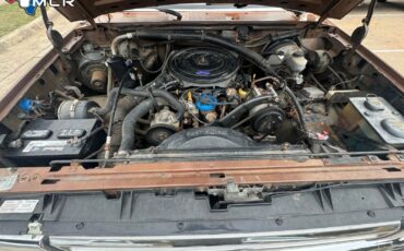 Ford-F-250-1987-Standard-Cab-Pickup-28