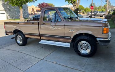 Ford-F-250-1989-10