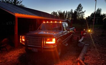 Ford-F-250-1993-3