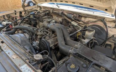 Ford-F-250-1993-4