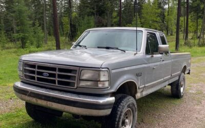 Ford F-250  1994 silver