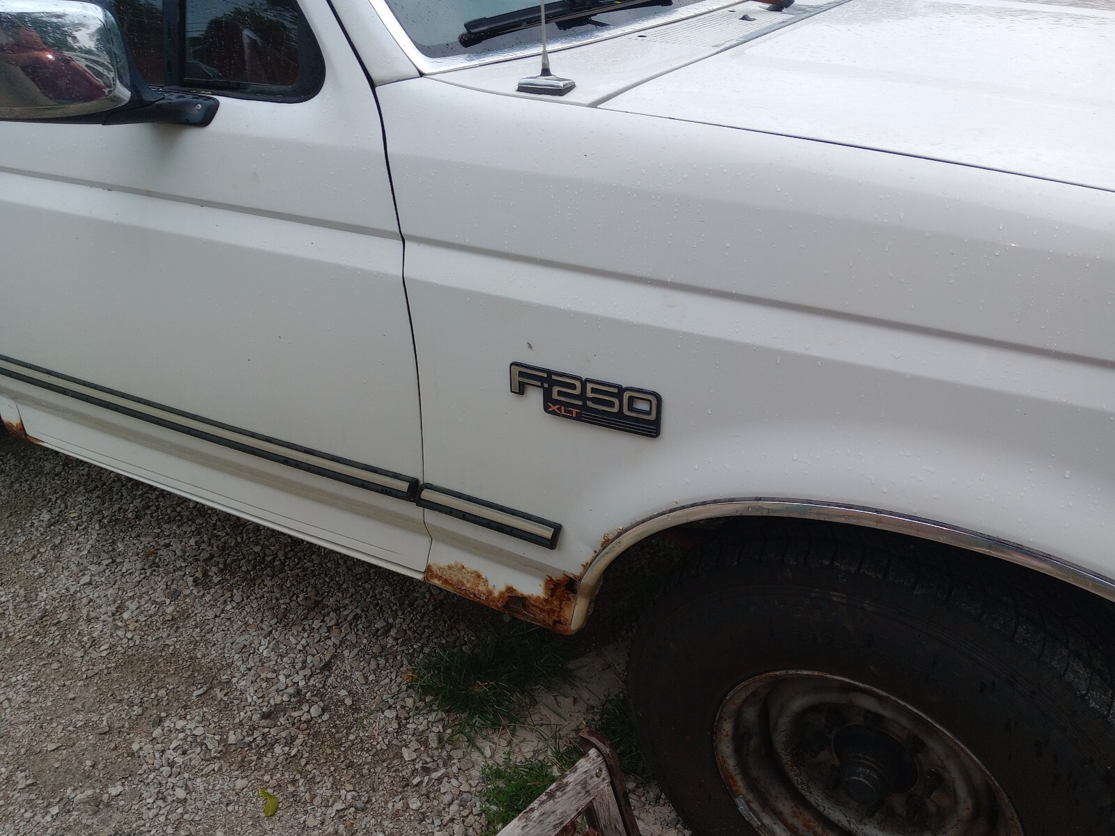 Ford-F-250-1995-1