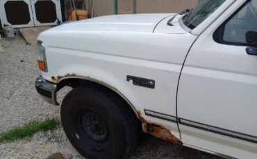 Ford-F-250-1995-2