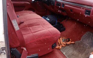 Ford-F-250-1995-8