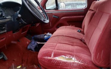 Ford-F-250-1995-9