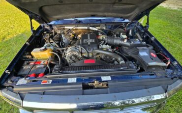 Ford-F-250-1995-Extended-Cab-Pickup-31
