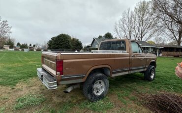 Ford-F-250-diesel-1985-1