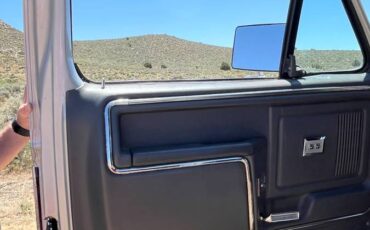 Ford-F-250-xl-1985-silver-7