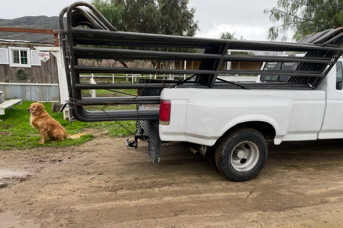 Ford-F-350-1990-Extended-Cab-Pickup-9