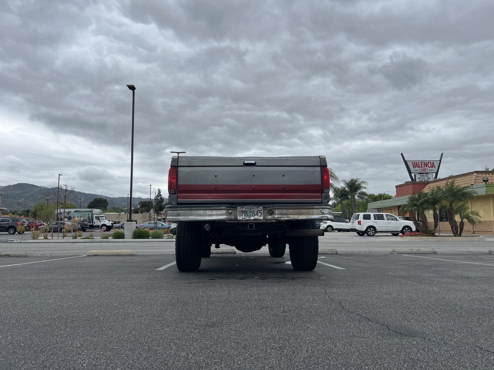 Ford-F-350-1995-4
