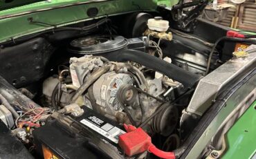 Ford-F-350-diesel-1972-green-4