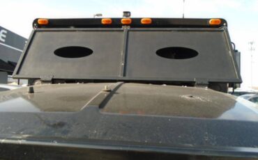 Ford-F-650-sd-1981-black-15