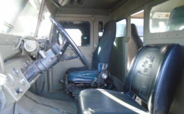Ford-F-650-sd-1981-black-6