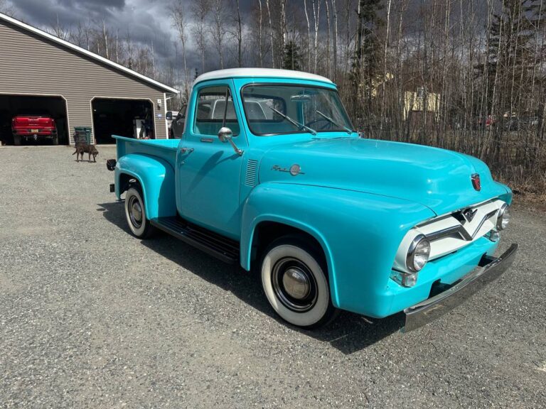 Ford F100  1955 blue