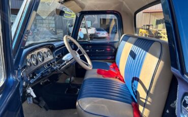 Ford-F100-1966-Pickup-Truck-5