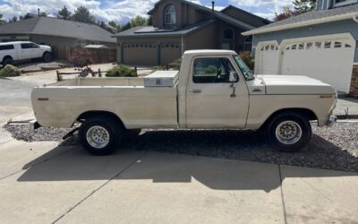 Ford F100 custom  1979 custom