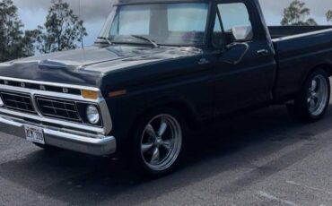 Ford-F100-pickup-1977-purple