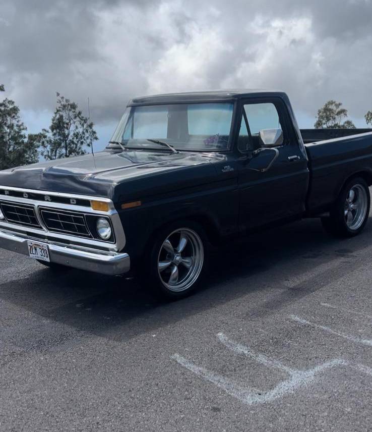 Ford-F100-pickup-1977-purple
