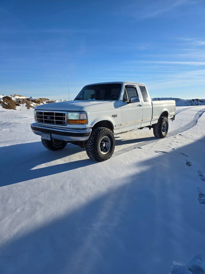 Ford-F150-xl-4x4-1995-1