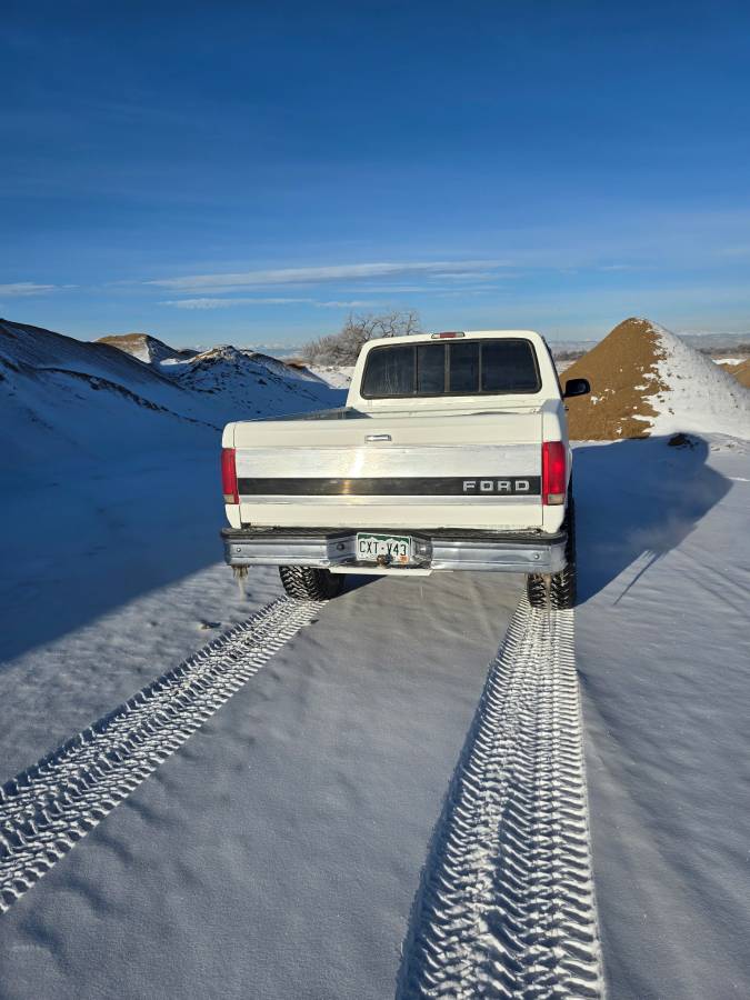 Ford-F150-xl-4x4-1995-3