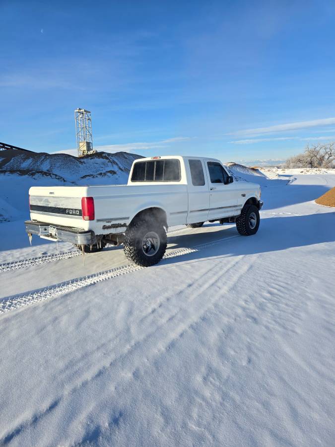 Ford-F150-xl-4x4-1995-4